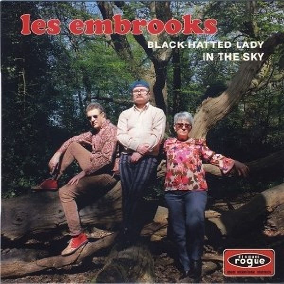 Disque vinyle The Embrooks - Black-Hatted Lady (LP)