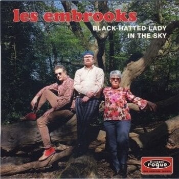 Disque vinyle The Embrooks - Black-Hatted Lady (LP) - 1