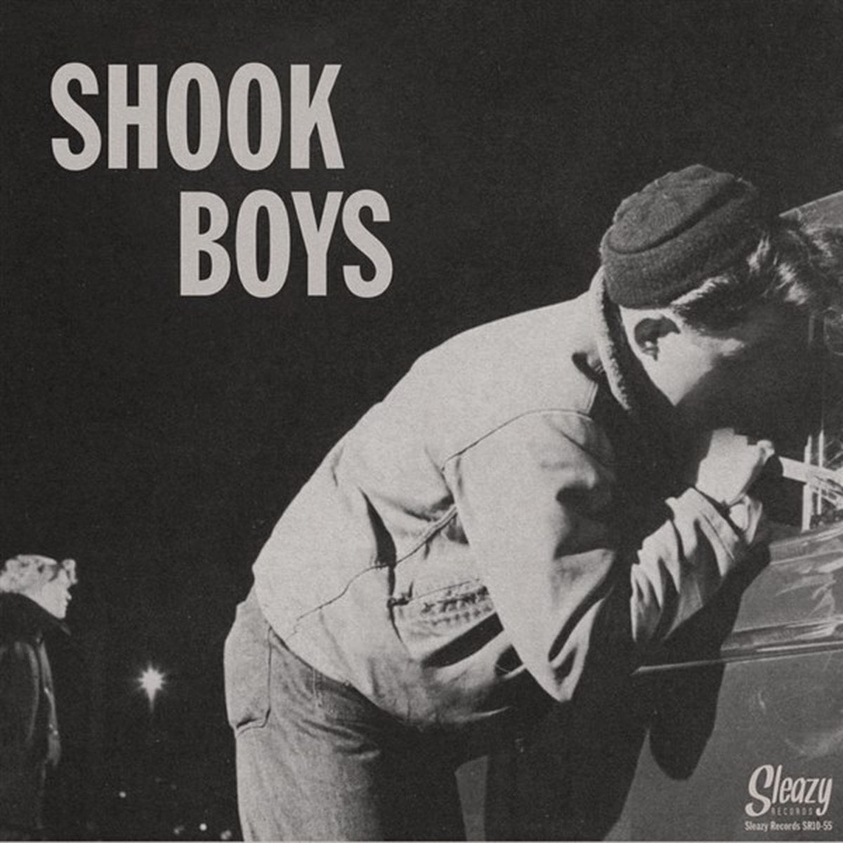 Schallplatte Iain Matthews - Shook (LP)