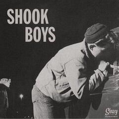 Schallplatte Iain Matthews - Shook (LP)