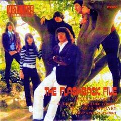 Schallplatte The Flashback V - Where Is Wally? (LP)