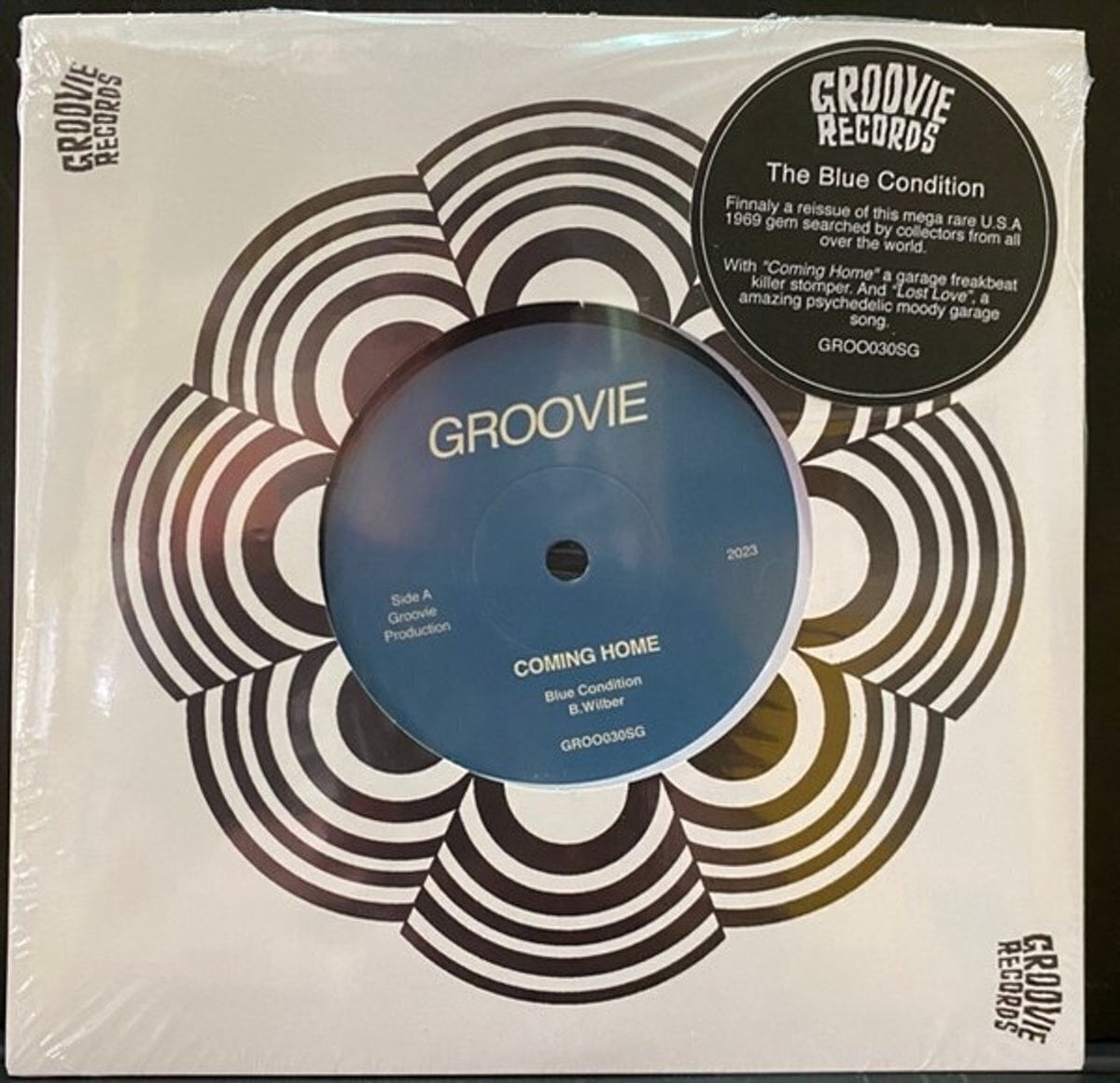 Schallplatte The Blue Condition - Coming Home (LP)