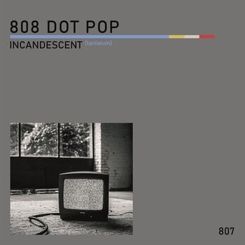 Disque vinyle 808 Dot Pop - Incandescent (Tantalum) (7") - 1