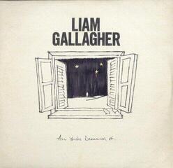 Schallplatte Liam Gallagher - All You're Dreaming Of... (Limited Edition) (White /Etched Coloured) (LP)