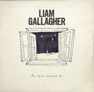 Schallplatte Liam Gallagher - All You're Dreaming Of... (Limited Edition) (White /Etched Coloured) (LP) - 1