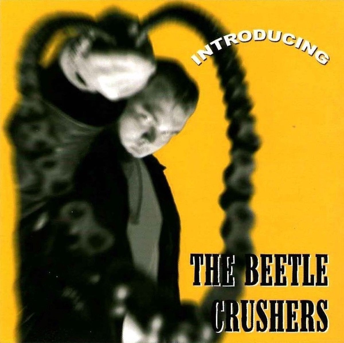 Disque vinyle The Beetle Crushers - Introducing (LP)