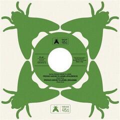 Schallplatte Paolo Ormi - Provaci Anche Tu Lionel (LP)