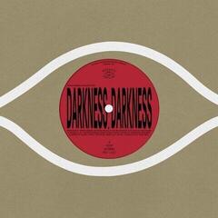 Disque vinyle Kieran Hebden & William Tyler - Darkness, Darkness / No Services (Four Tet) (LP)