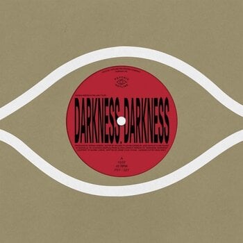 Disque vinyle Kieran Hebden & William Tyler - Darkness, Darkness / No Services (Four Tet) (LP) - 1