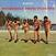 Schallplatte Ponderosa Twins + One - Bound (7")