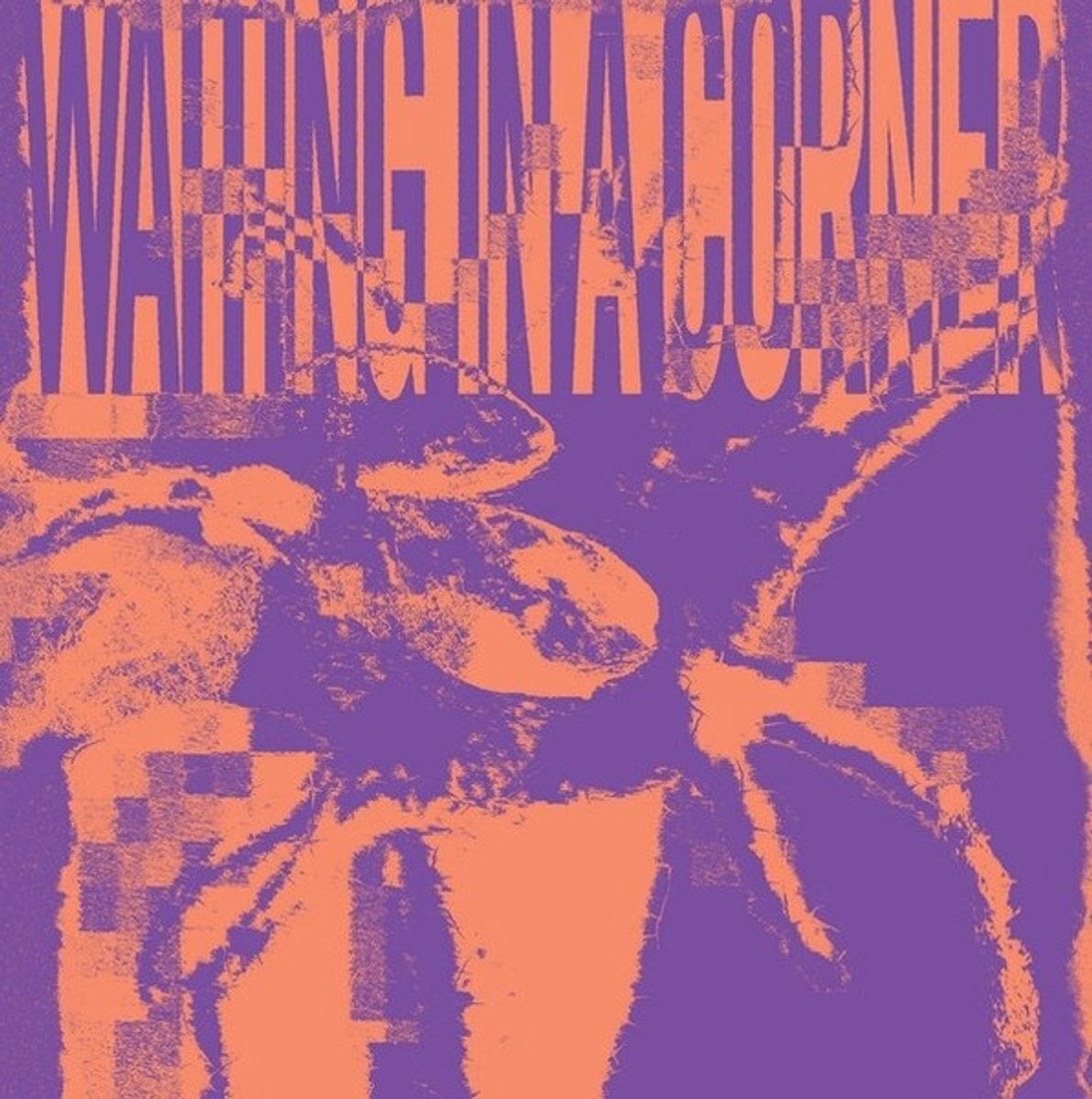 Schallplatte Jackson Reid Briggs & Tthe Heaters - Waiting in a Corner (LP)