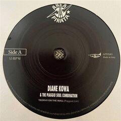 Vinylskiva Diane Kowa & The Piaggio Soul Combination & The Piaggio Soul Combination - Trophy on the Wall (LP)