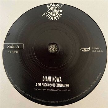 Vinylskiva Diane Kowa & The Piaggio Soul Combination & The Piaggio Soul Combination - Trophy on the Wall (LP) - 1
