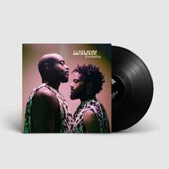 Vinyl Record Illnoledge - Everlasting (LP)