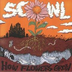 Vinyl Record Scowl - How Flowers Grow (Reissue) (Coloured) (LP)