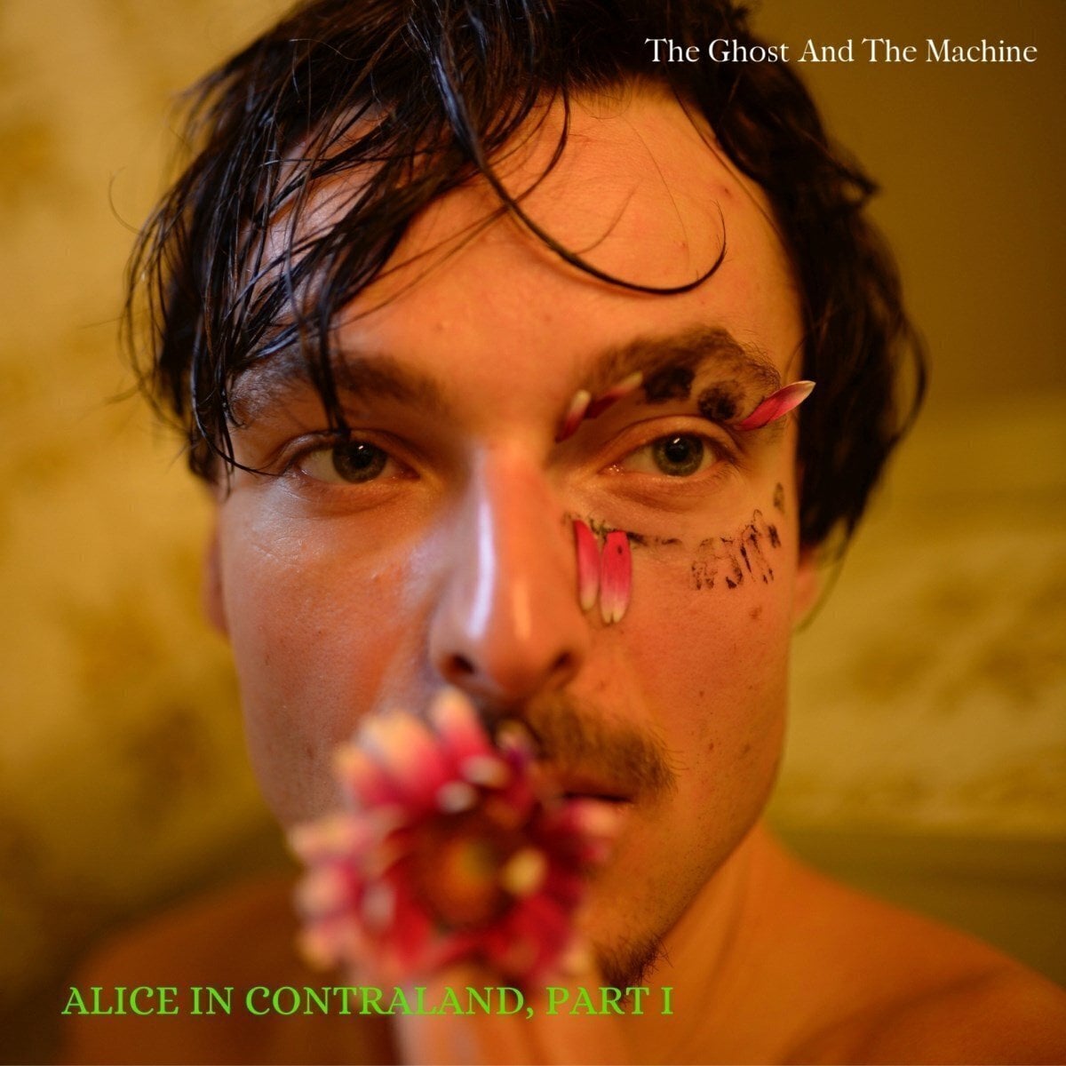 Schallplatte The Ghost And The Machine - Alice In Contraland, Part I (LP)