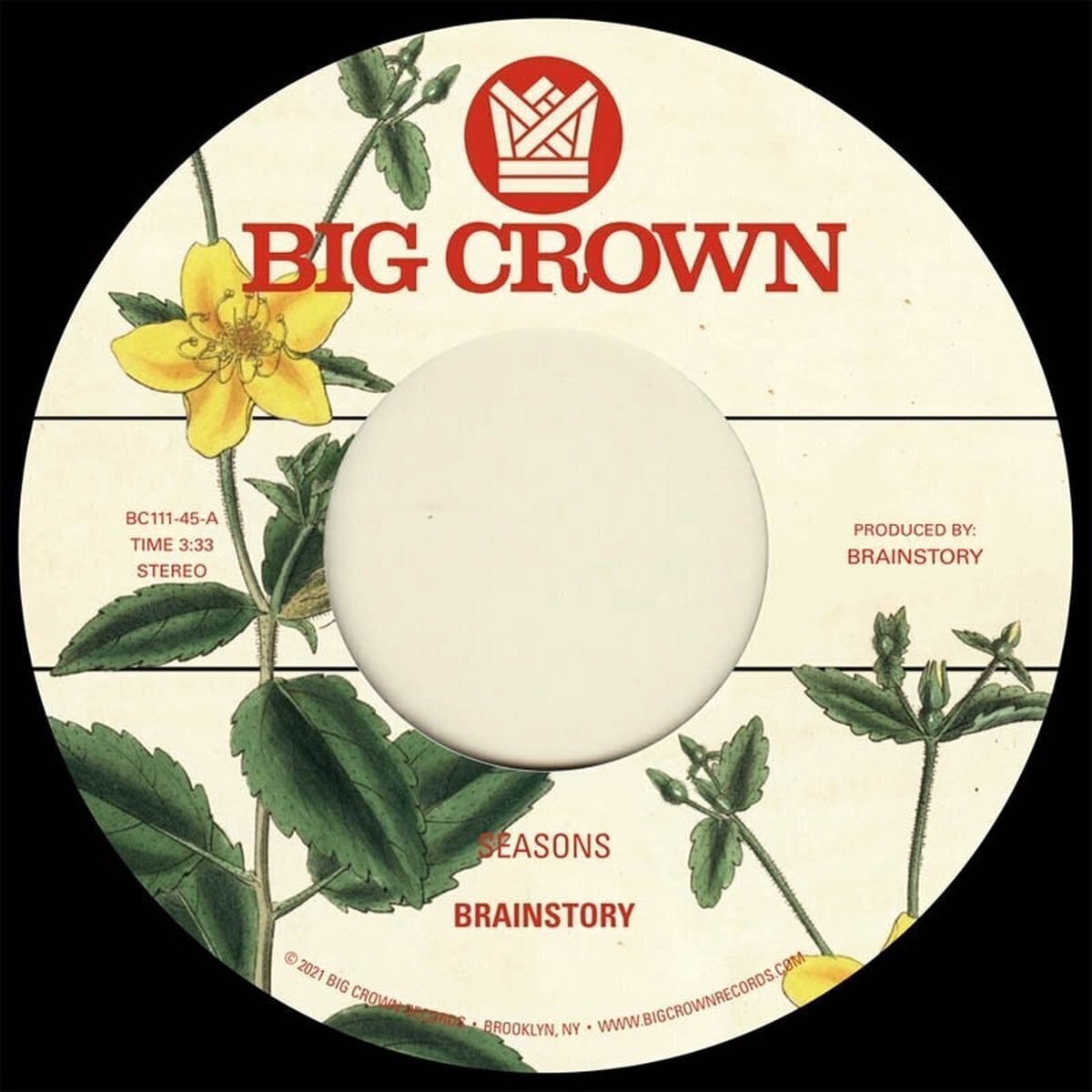 Disco in vinile Brainstory - Seasons (7")