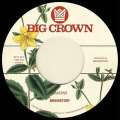 Disco in vinile Brainstory - Seasons (7")