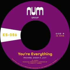 Disque vinyle Michael Dixon & J.O.Y. - You're Everything (Reissue) (7")
