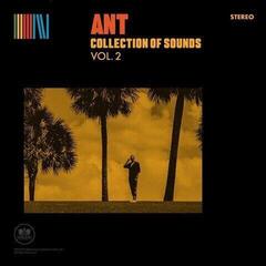 LP ANT - Collection Of Sounds Vol. 2 (Yellow Coloured) (LP)