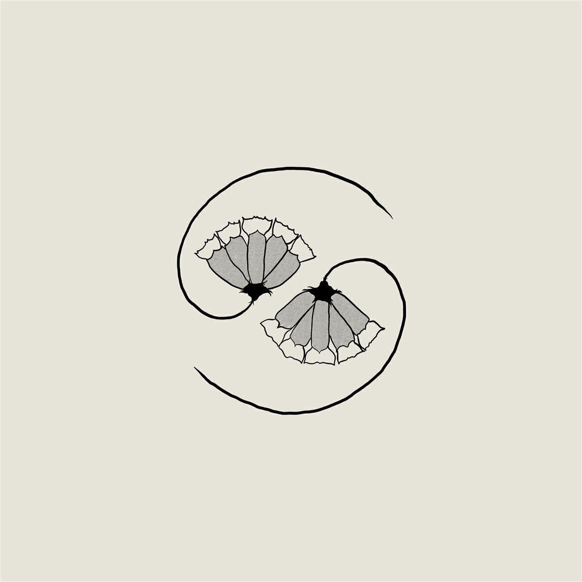 Schallplatte Godspeed You! Black Emperor - G_d's Pee At State's End! (180 g) (LP + EP)