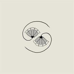 Schallplatte Godspeed You! Black Emperor - G_d's Pee At State's End! (180 g) (LP + EP)
