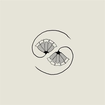 Schallplatte Godspeed You! Black Emperor - G_d's Pee At State's End! (180 g) (LP + EP) - 1