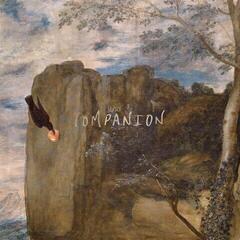 LP Sluice - Companion (LP)