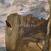 LP Sluice - Companion (LP)