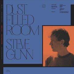 Грамофонна плоча Steve Gunn & Bill Fay - Dust Filled Room/Dust Filled Room (7")