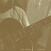 Vinylplate Jeff Parker - Forfolks (Guitar) (LP)