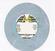 LP ploča Ambilique - Turn Back The Hand Of Time (LP)