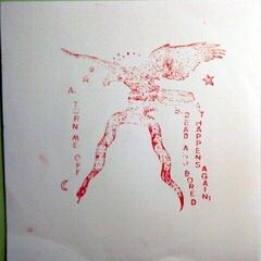 Vinüülplaat Straight Arrows - Turn Me Off / Dead and Bored (LP)