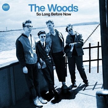 Schallplatte Woods - So Long Before Now (Seaglass Blue Coloured) (LP) - 1