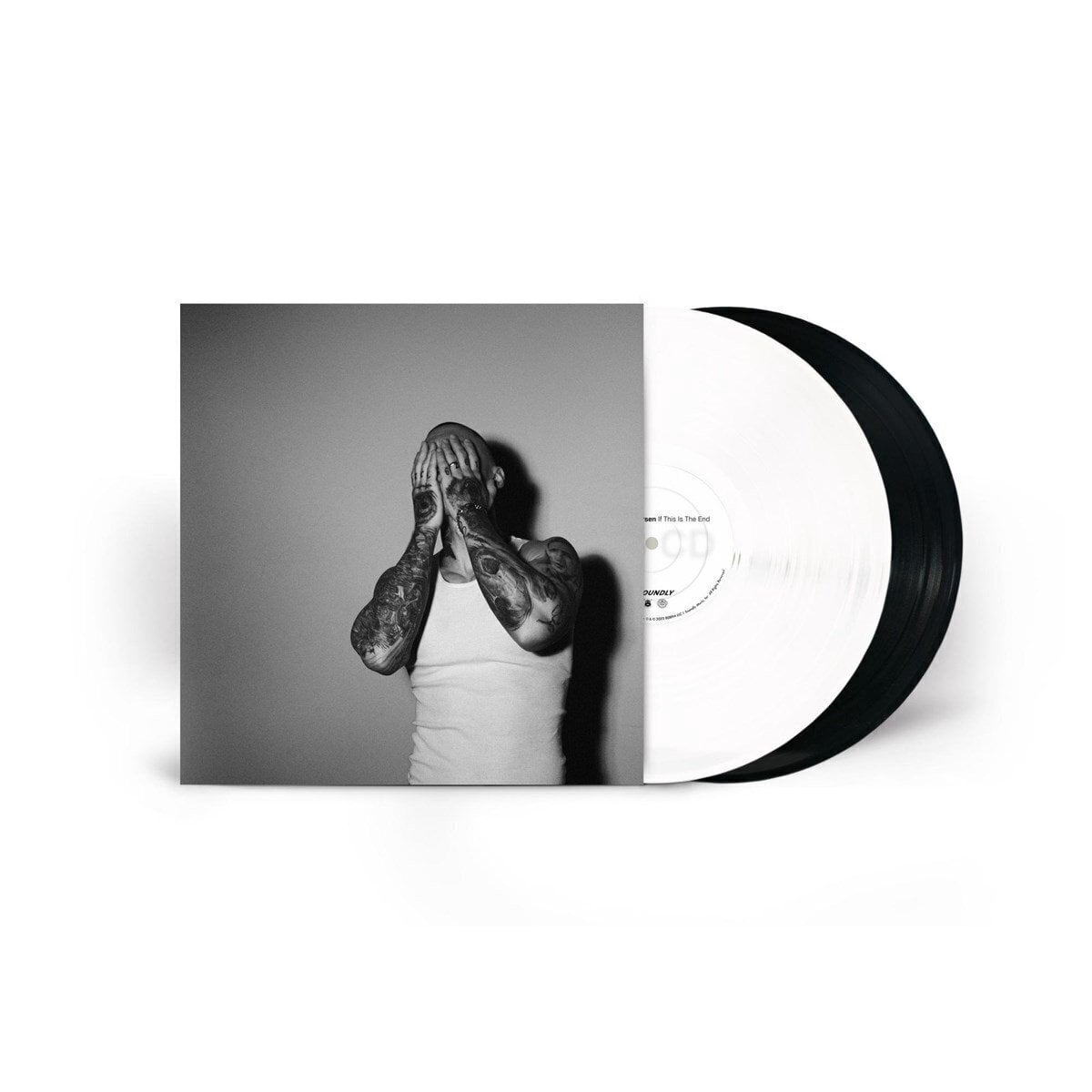 LP ploča Noah Gundersen - If This Is The End (Gatefold Sleeve) (2 LP)