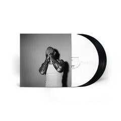 Vinyl Record Noah Gundersen - If This Is The End (Gatefold Sleeve) (2 LP)