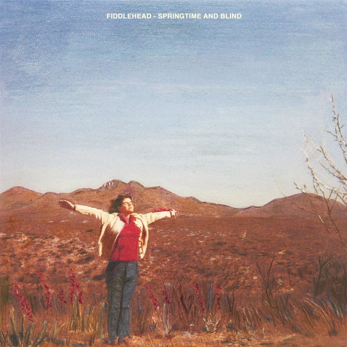 LP ploča Fiddlehead - Springtime And Blind (Black Cherry Marbled Coloured) (LP)