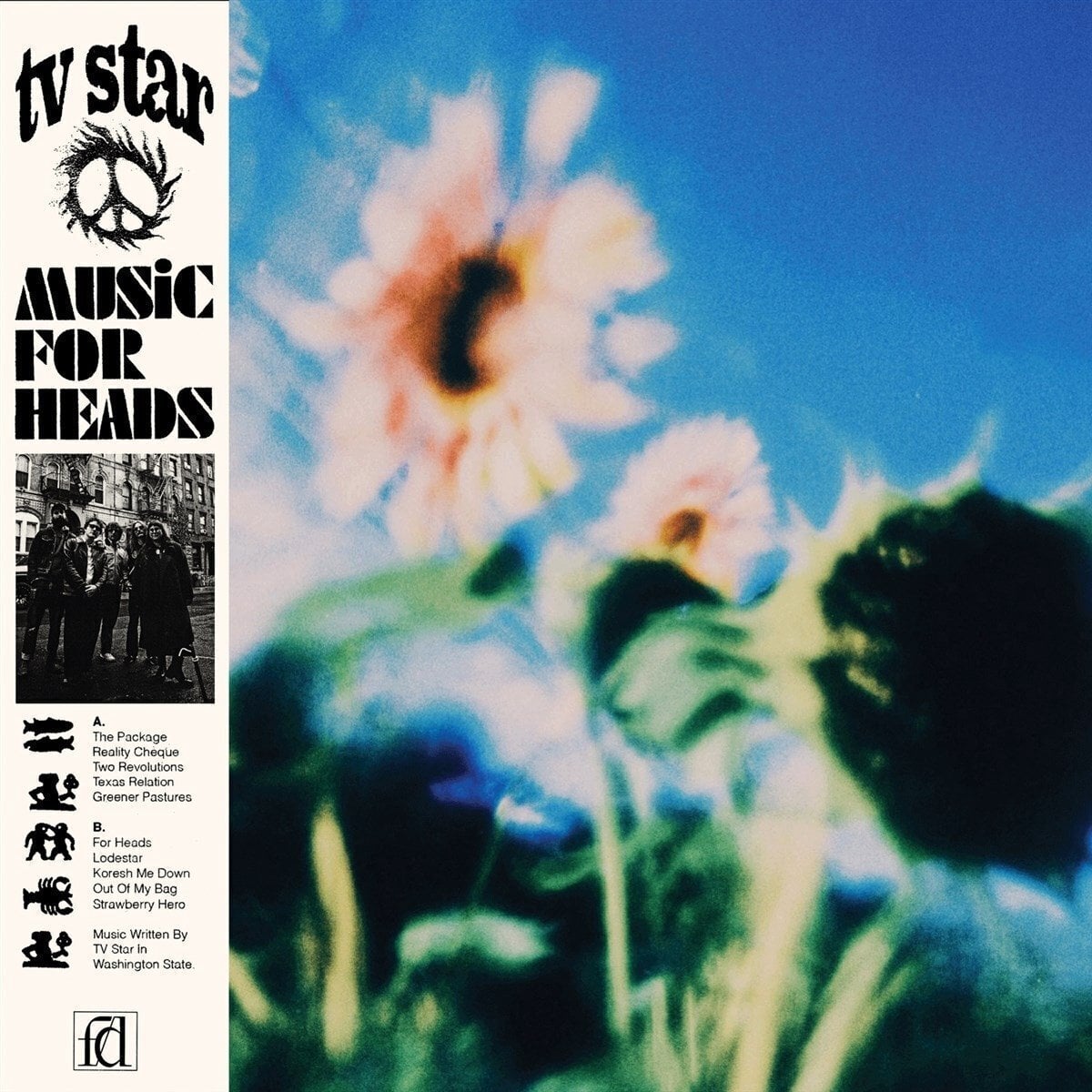 LP ploča Tv Star - Music For Heads (LP)