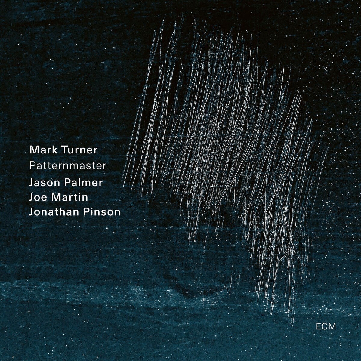 Vinylplate Mark Turner - Patternmaster (LP)