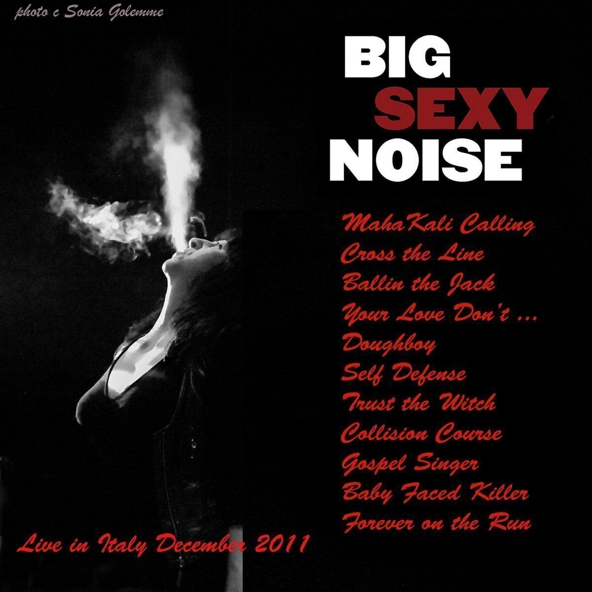 Schallplatte Big Sexy Noise - Live in Italy December 2011 (Reissue) (LP)