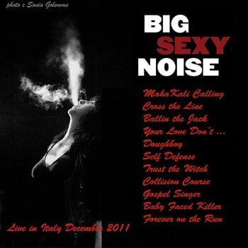 Schallplatte Big Sexy Noise - Live in Italy December 2011 (Reissue) (LP) - 1