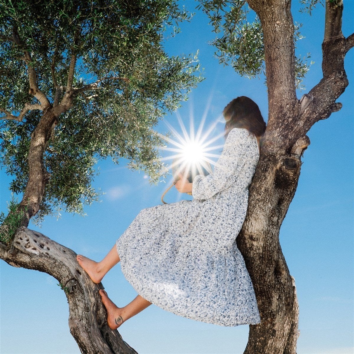 Hanglemez Eaves Wilder - Little Miss Sunshine (LP)