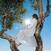 Hanglemez Eaves Wilder - Little Miss Sunshine (LP)