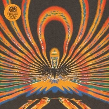 LP ploča Druid Fluids - Then, Now, Again & Again (LP) - 1