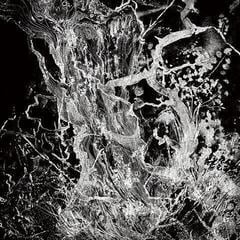 Грамофонна плоча Bruit ≤ - Monolith (LP)