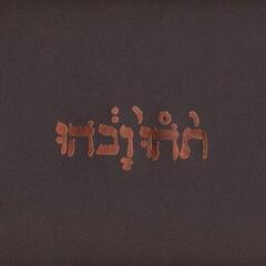LP platňa Godspeed You! Black Emperor - Slow Riot For New Zero Kanada E.P. (Reissue) (180 g) (EP)