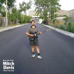 Vinyl Record Mitch Davis - Bear The Cold (LP)
