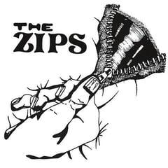 Disque vinyle The Zips - Take Me Down (LP)