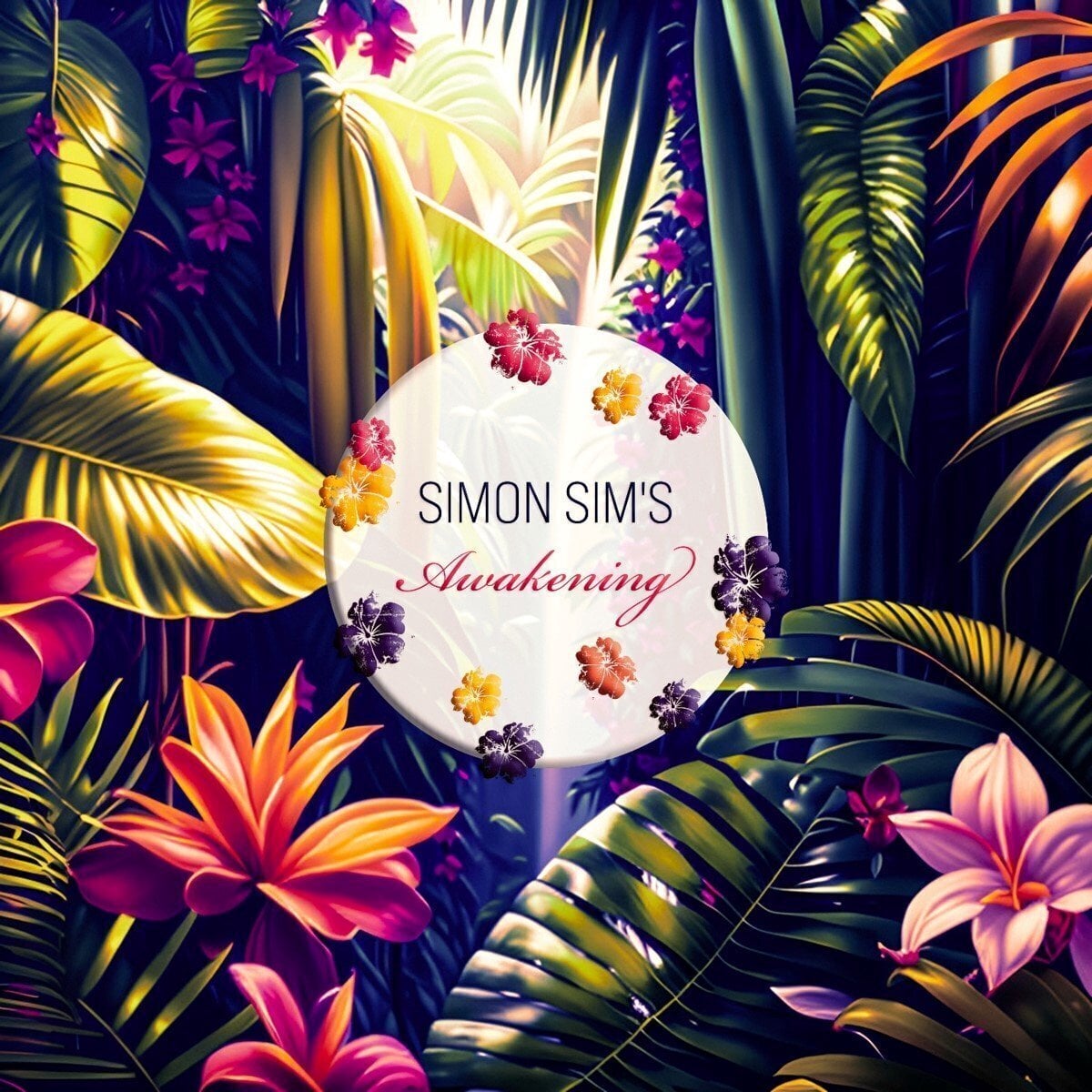 Vinyl Record Simon Maurice - Awakening (LP)