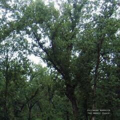 Vinylplade Julianna Barwick - The Magic Place (Reissue) (LP)
